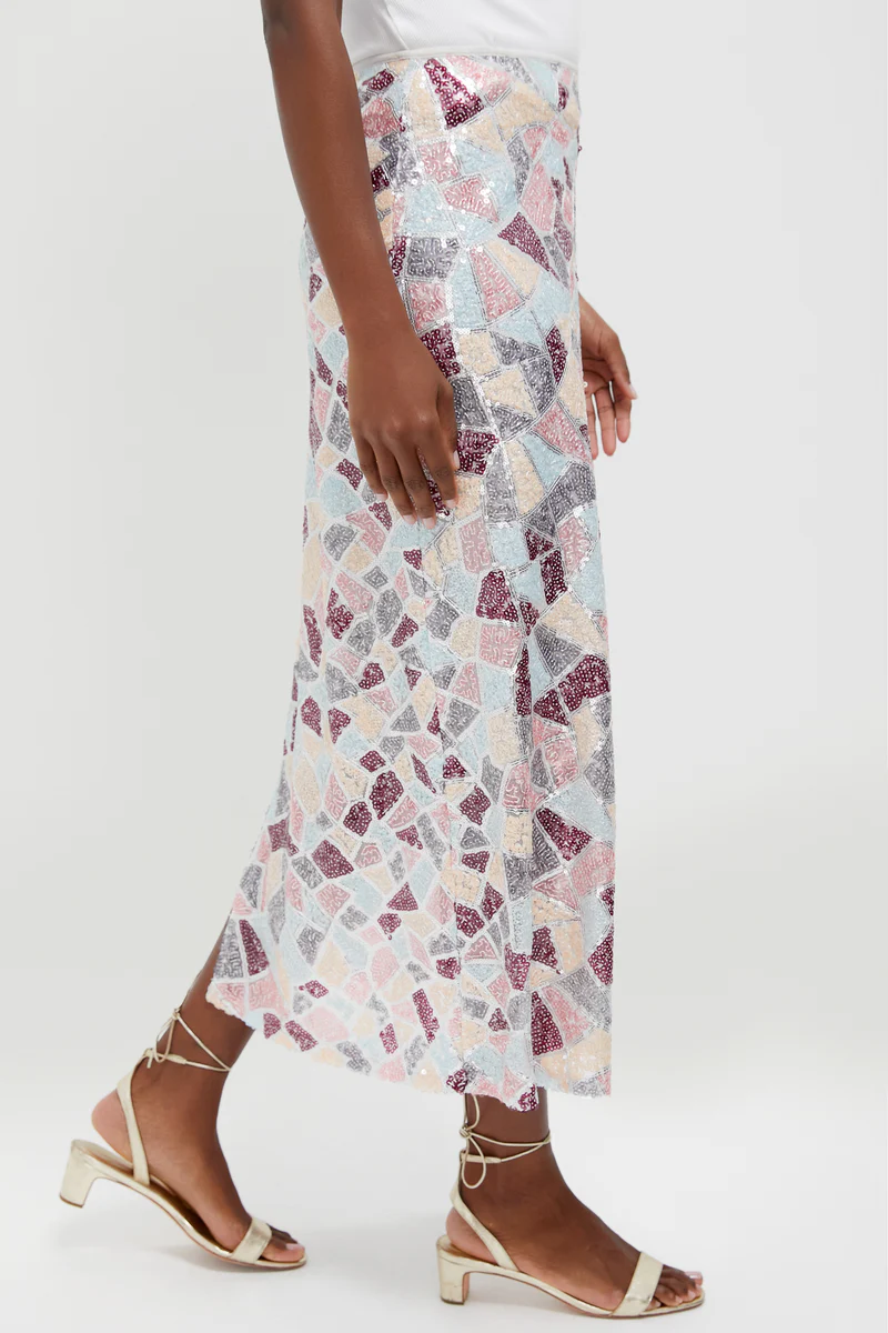 Sequin Flare Maxi Skirt