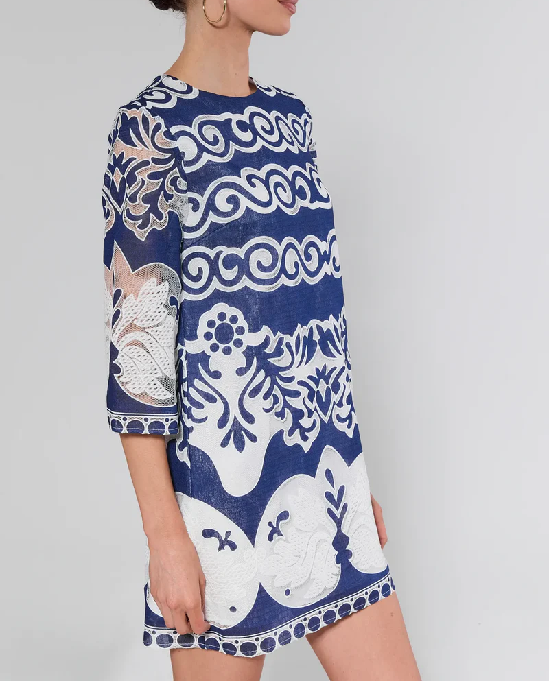 Printed Lace Sleeve Dress