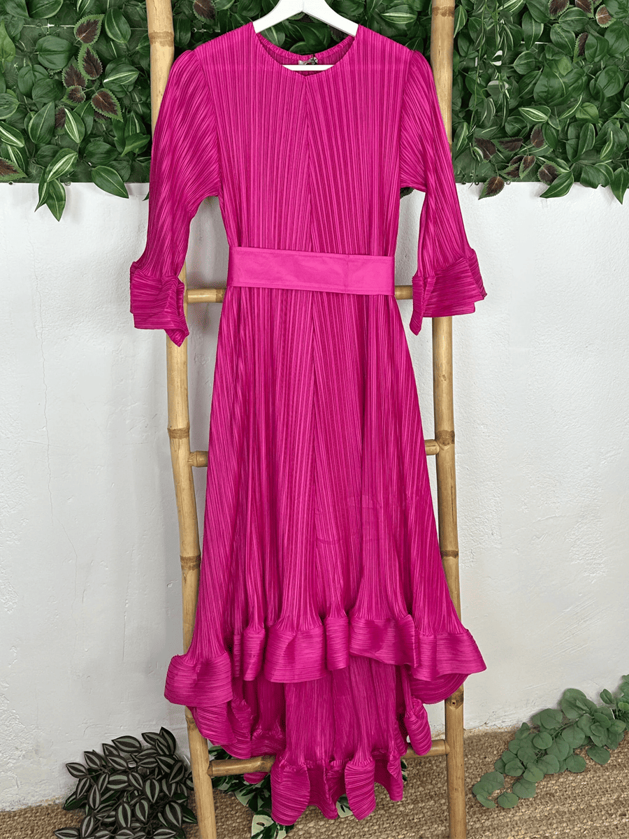 Ruffled Sleeve Pleated Dress