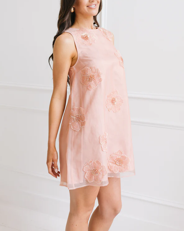 Embroidered Floral Mini Dress
