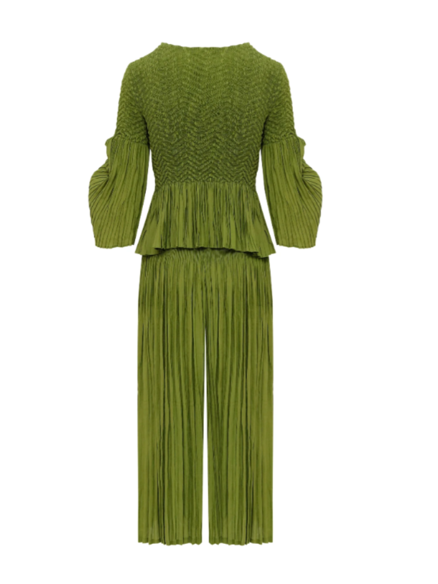 Pleated Stretchy Fabric Pants Set